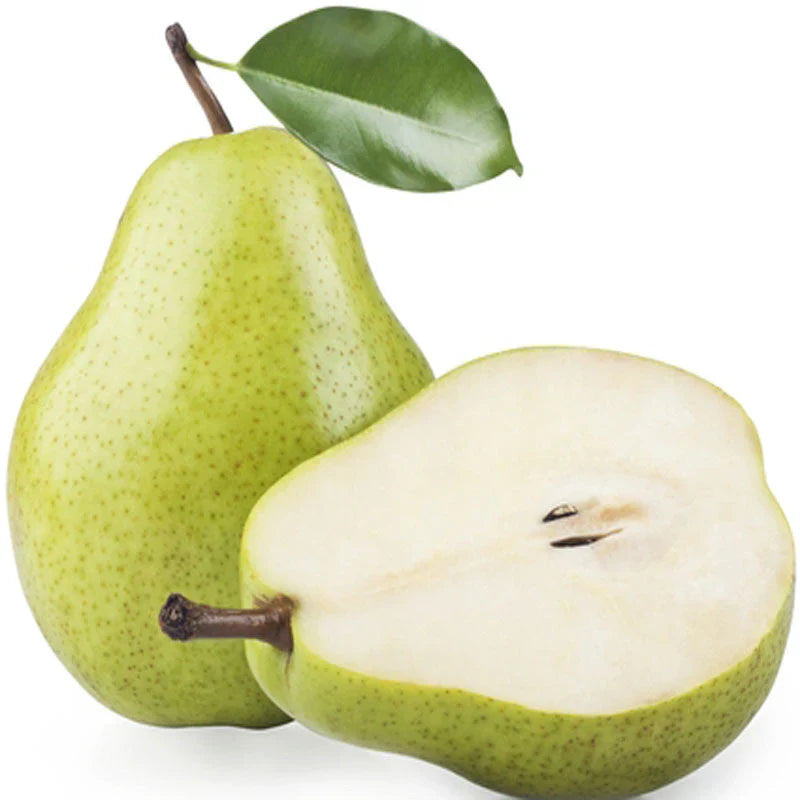 Nashpati ( pear ) Fruit Plant Grafted - Naturemart.in