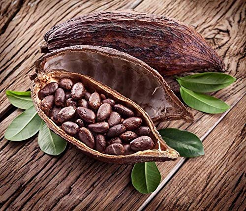 Cocoa Fruit Plant For Gardening - Naturemart.in