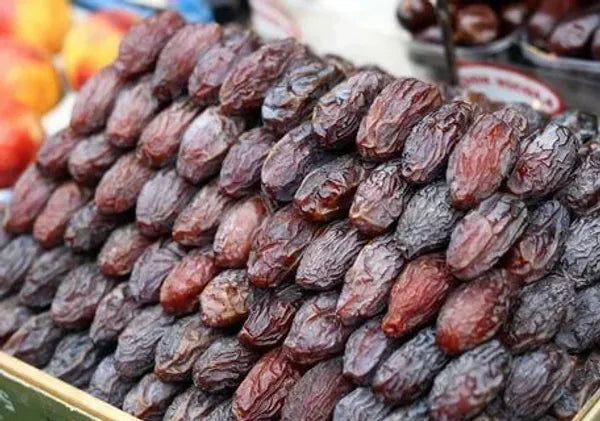 Arabian hybrid date plant - Naturemart.in