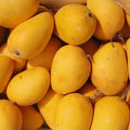 Aswina Mango Fruit Plant (Grafted) - Naturemart.in