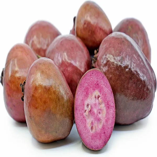 Malaysian Red Guava Fruit Plant - Naturemart.in