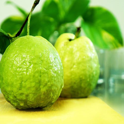 New Lalit Guava Fruit Plant - Naturemart.in