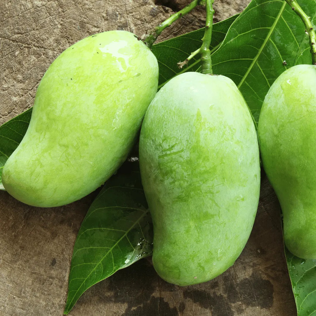 Hybrid Noorjahan Mango Fruit plant - Naturemart.in