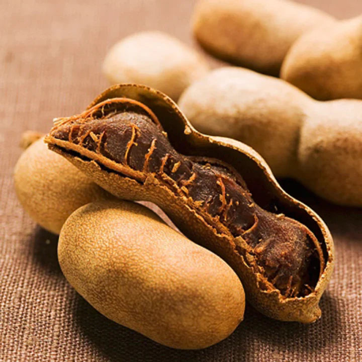 Sweet Tamarind (Grafted) - Fruit Plants & Tree - Naturemart.in