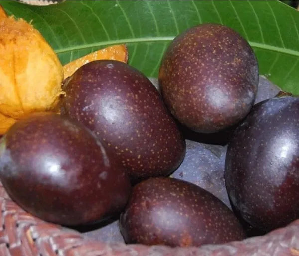 Kasturi Black Mango - Naturemart.in