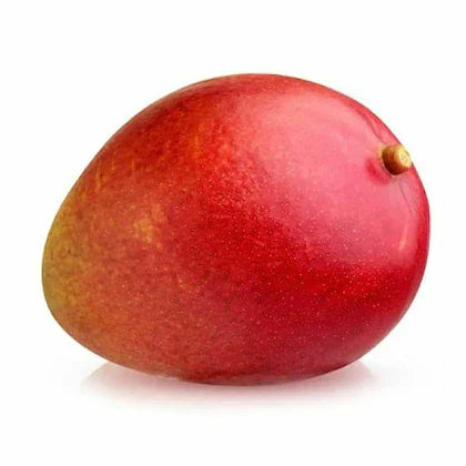 Apple Mango(Grafted) Fruit Plant - Naturemart.in