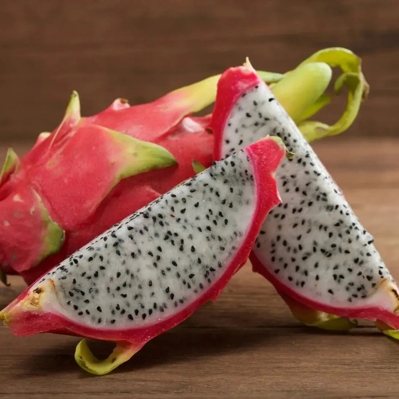 Dragon Fruit Plant For Home Garden - Naturemart.in