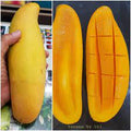 Banana Mango Fruit Plant-Grafted - Naturemart.in