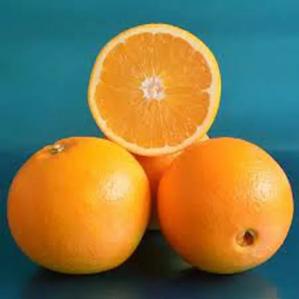 Washington Navel Orange Plant-Grafted - Naturemart.in
