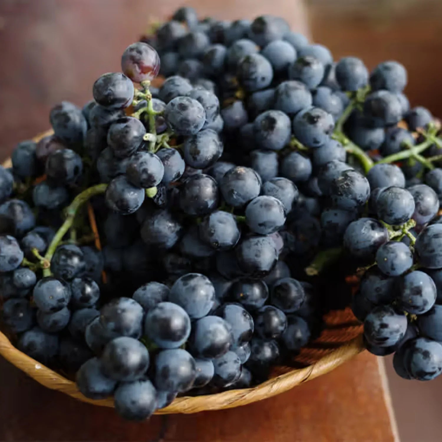 Exotic Black Grapes Fruit Plants - Naturemart.in