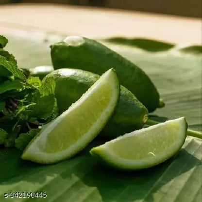 New Gandharaj Lemon  Fruit Plant - Naturemart.in